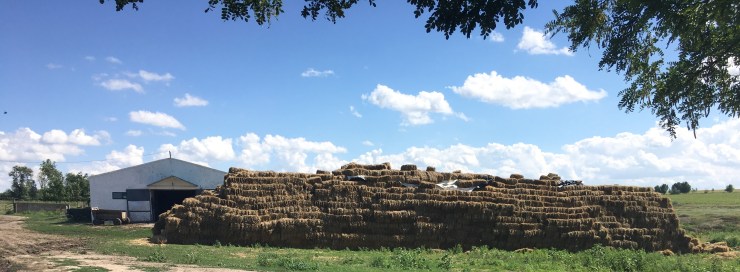 HayStack